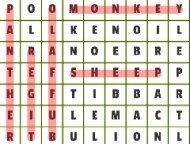 Animals Word Search